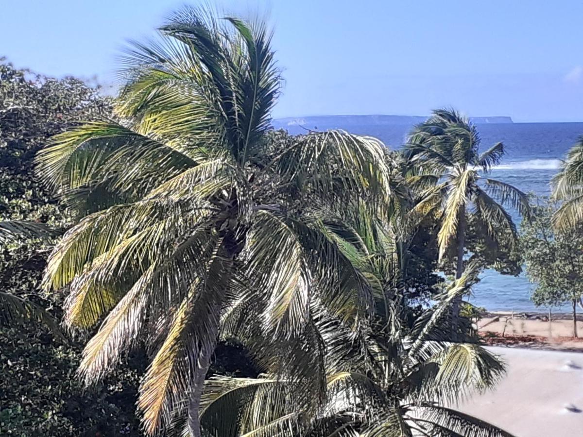 Studio Vue Sur Mer Le Moule Exterior photo